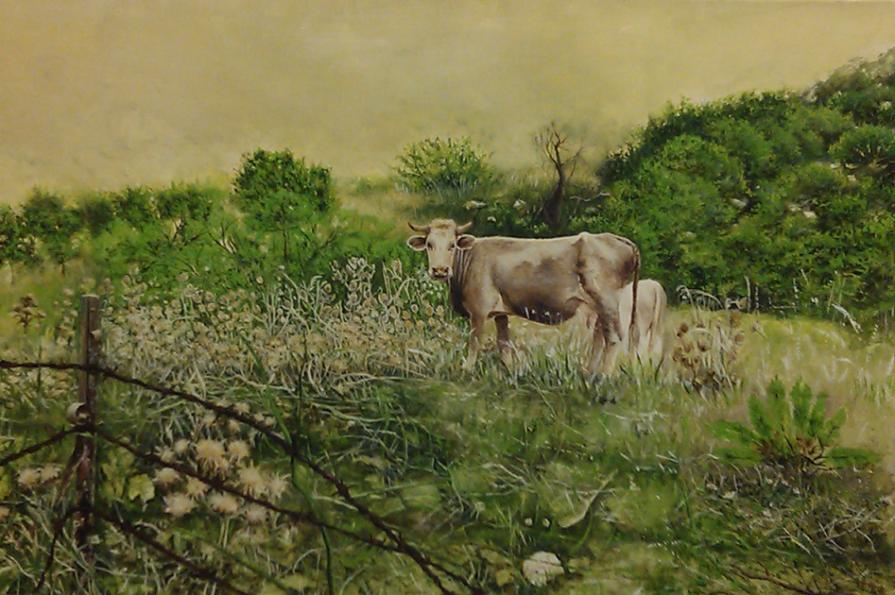 Natura viva Natura viva