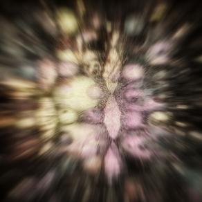 EUU 15 (Esperienza Ultra Umana) 