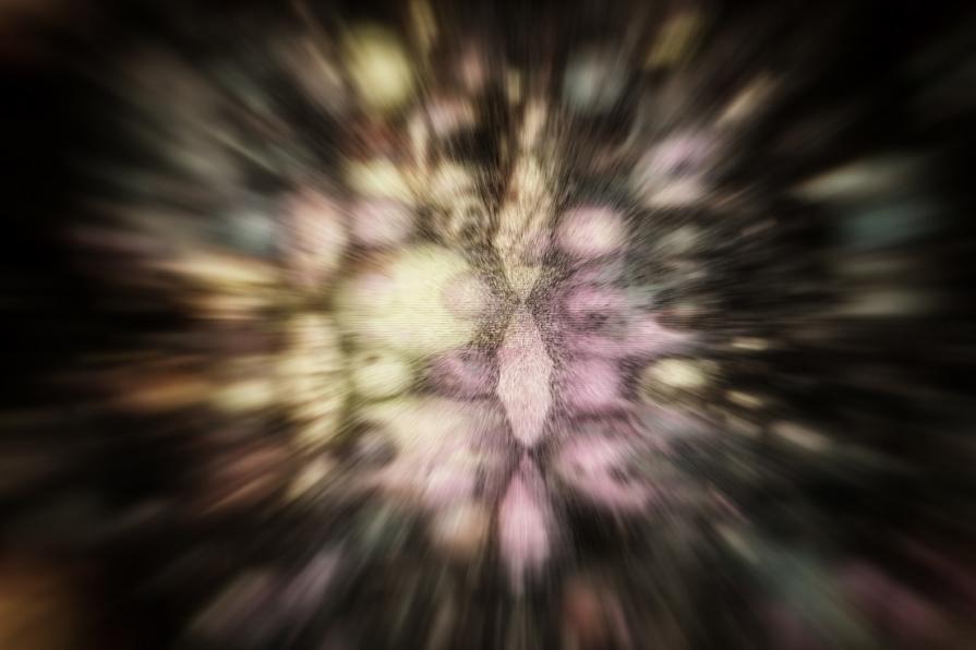 EUU 15 (Esperienza Ultra Umana) 