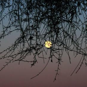 La necessità di vivere ogni istante 