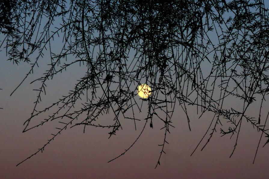 La necessità di vivere ogni istante 