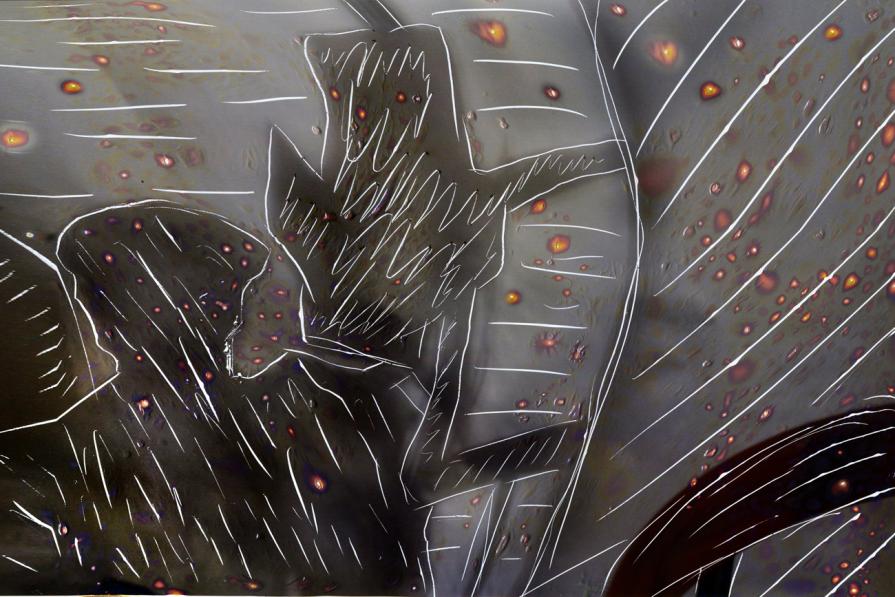 universo mio ,sempre in movimento.