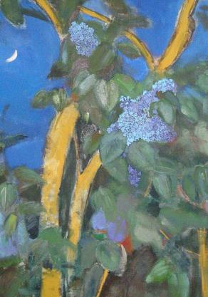 lilac and moon 