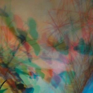 I colori della biodiversità -2015