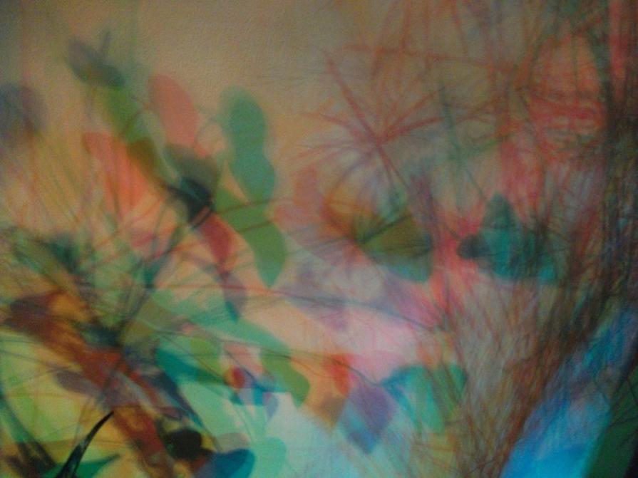 I colori della biodiversità -2015