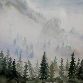 Aquarius in a Foggy Forest