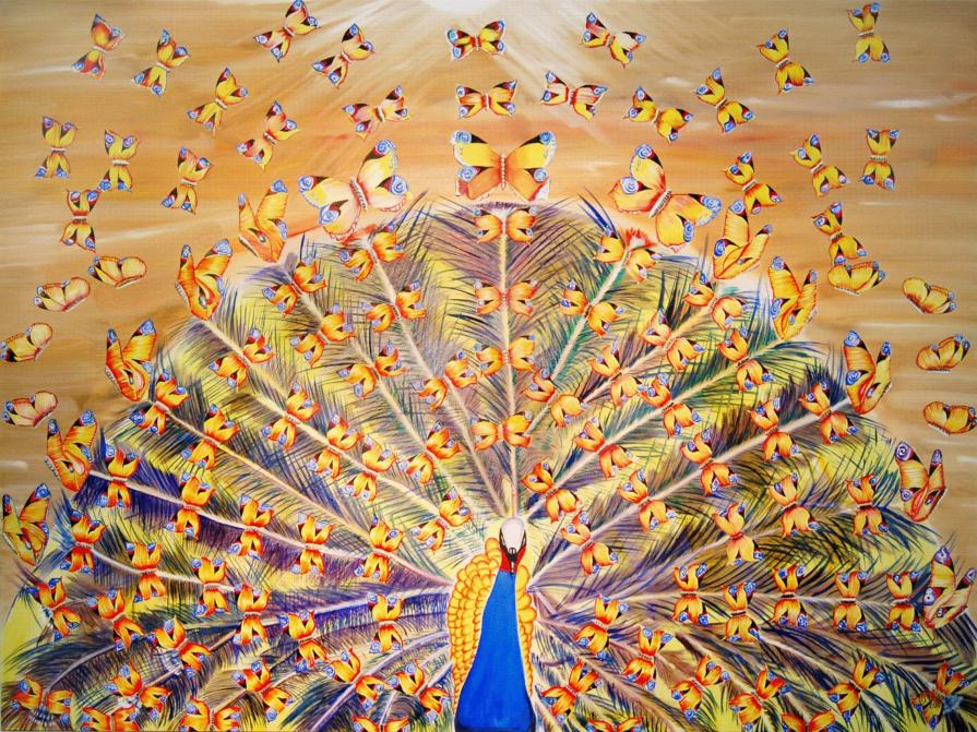 Sunset peacock / Pavo atardecer