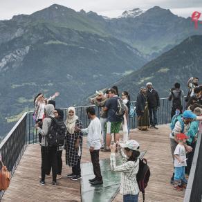 POSTCARDS: THE IMPACT OF ART ON PLANET ECOLOGY, 2017