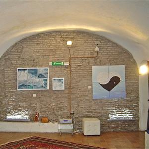 “5 Elementi 5” legno . fuoco . terra . metallo . acqua “5 Elementi 5” legno . fuoco . terra . metallo . acqua