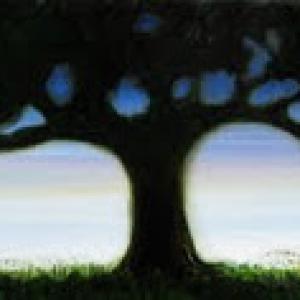 I SAGGI DELLA TERRA I SAGGI DELLA TERRA