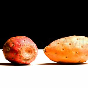 Divertissement, Salvo D’Avila's still life photography