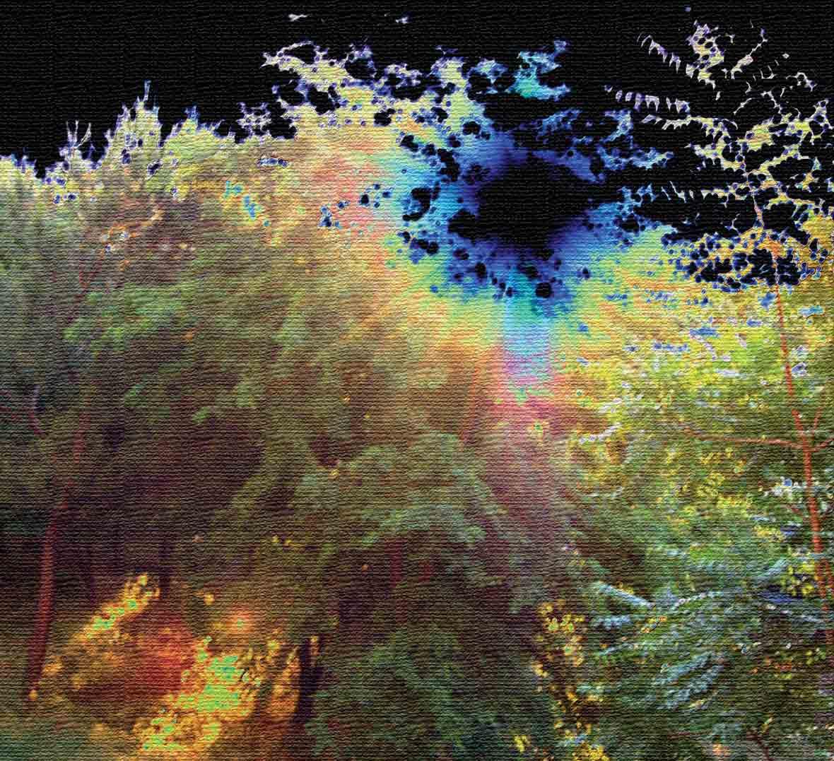 Artists of Quantum Art