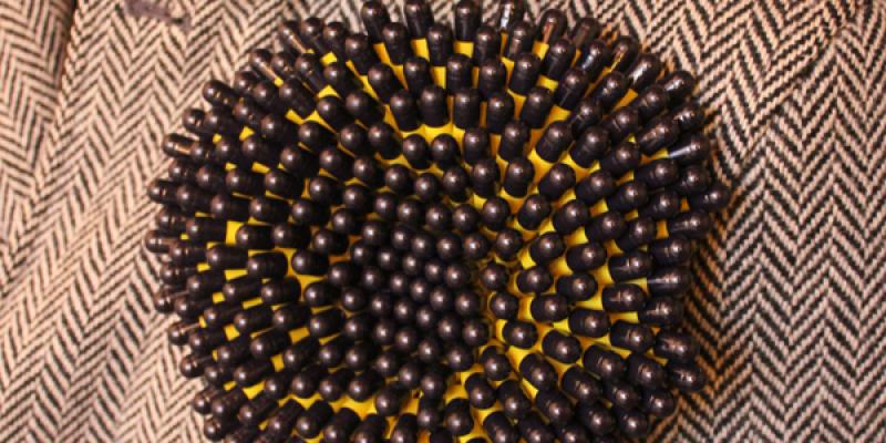 Inhorgenta 2011, 25-28 Febbraio.