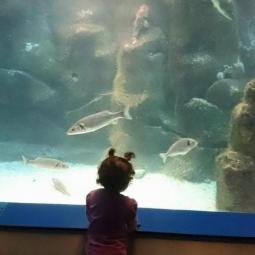 Carmen Fernandez Vilar