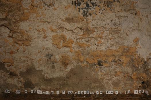 Wittgenstein's Truth