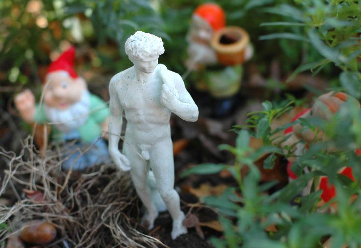 Firenze-David Firenze-David