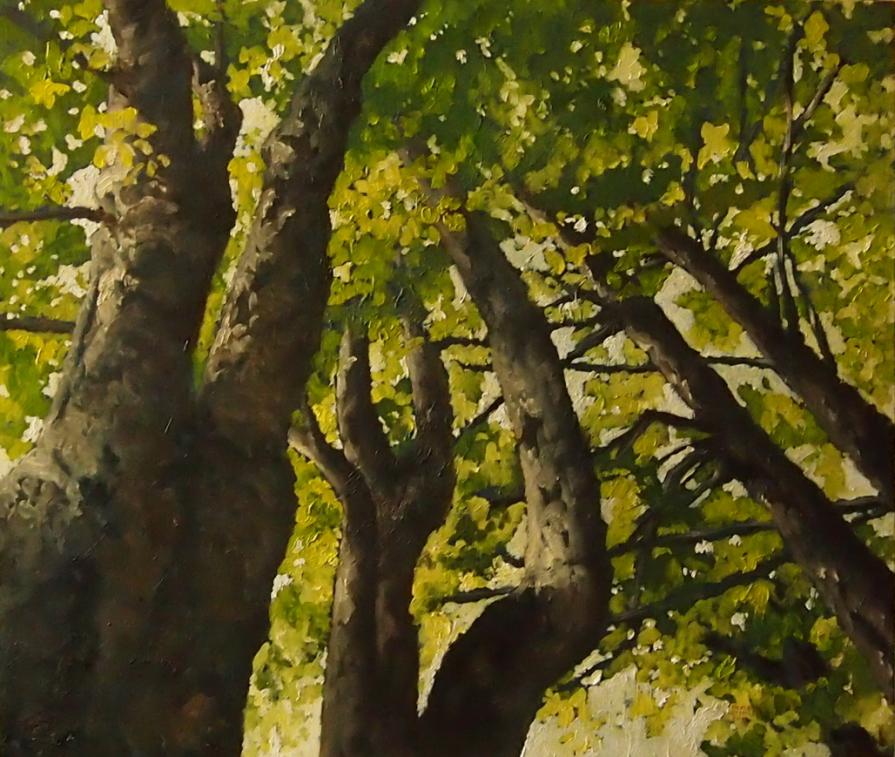 Gruppo 1 - Luce accesa