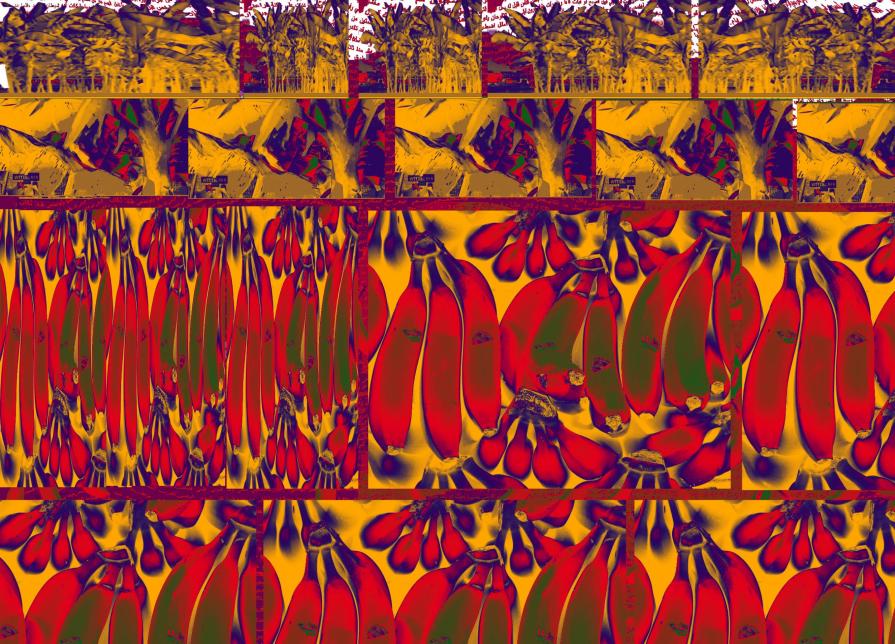 indianas home by by indianas home by by