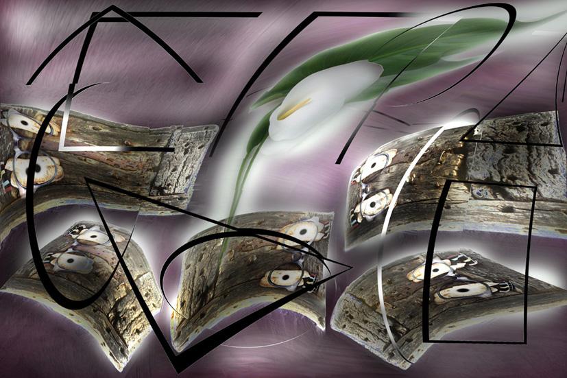 stamattina sei entrata nel mio negozio con una calla fra le tue mani,me l'hai donata grazie.... stamattina sei entrata nel mio negozio con una calla fra le tue mani,me l'hai donata grazie....