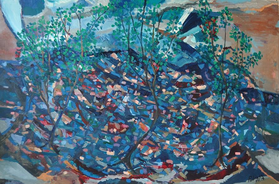 "Paesaggio nelle montagne di Nuevo Leon"