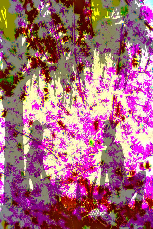 ...SE PUOI SOGNARLO PUOI FARLO...!!! *** GRANDE MAX *** ...SE PUOI SOGNARLO PUOI FARLO...!!! *** GRANDE MAX ***