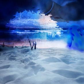 CHISSÀ...DOLCE ANIMA FERITA TU LO SAI...