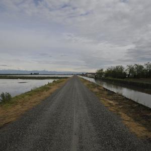 Risaie di Larizzate, patrimonio dell'ex ospedale di S. Andrea, Vercelli Risaie di Larizzate, patrimonio dell'ex ospedale di S. Andrea, Vercelli