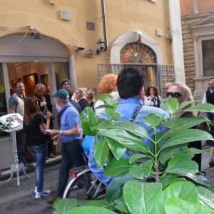 NOI, NEL GIARDINO DEI FOLLI NOI, NEL GIARDINO DEI FOLLI