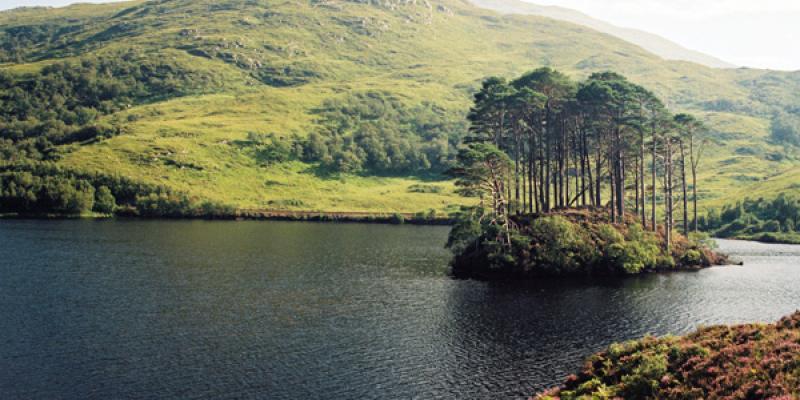 ELISABETH RASS - LANDSCHAFT