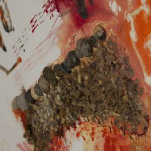 "Scirocco": the seasons of the material and color of Vittorio Vertone.