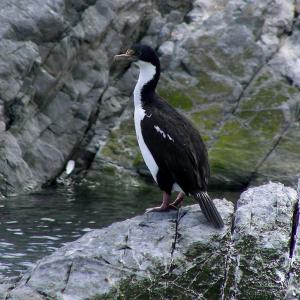 Argentina, Patagonia