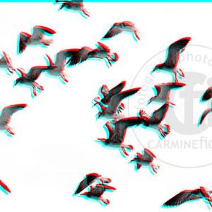  ‘Beaches (Doubts on the Borderland)