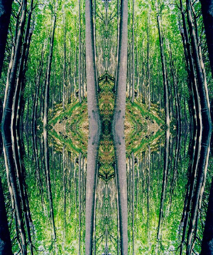 Fitto percorso di conoscenza