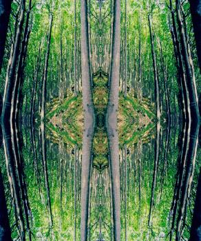 Fitto percorso di conoscenza