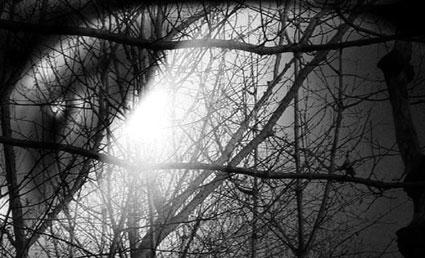 My body landscapes My body landscapes