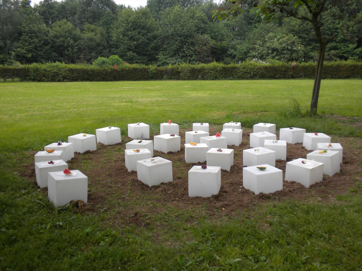 “Dalla raccolta alla semina” 