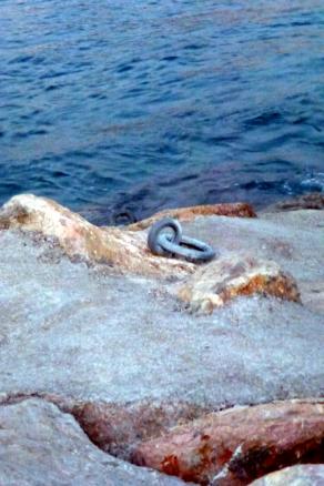 Mer et terre : deux anneaux !