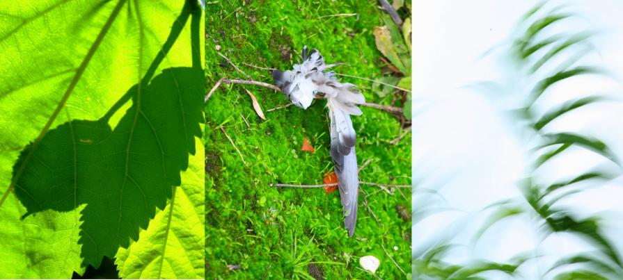 time present and time past