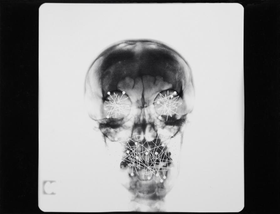 Run for your life! Run for your life!