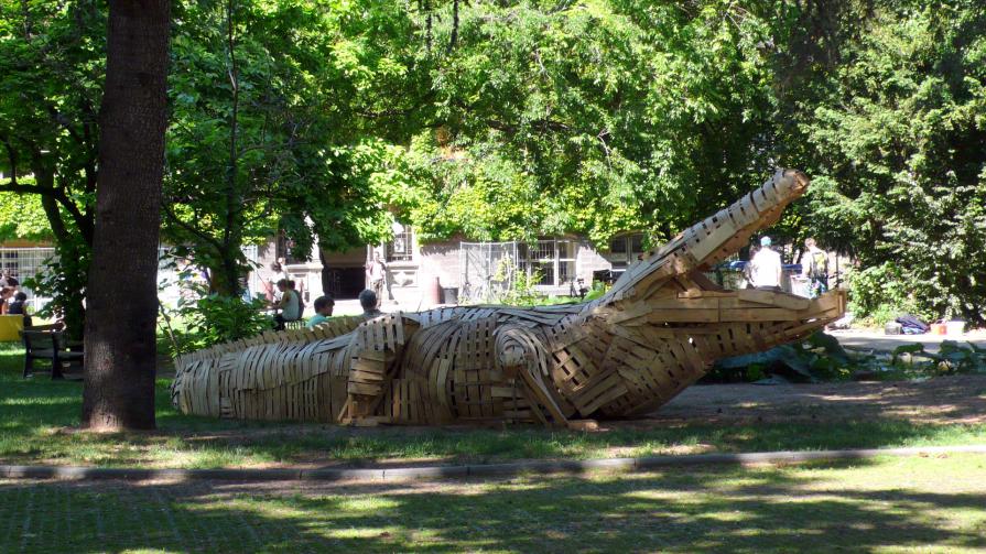 Ciel ! Un crocodile...