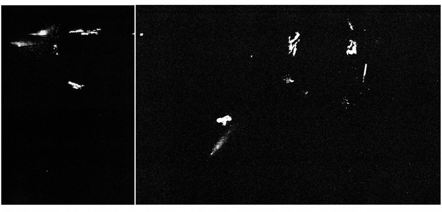 Untitled 21 Untitled 21