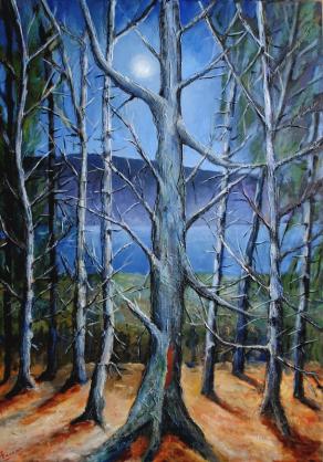 Il Garda dal Monte Baldo