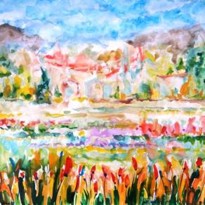 Estate all'agro di Almè