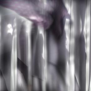 balliconilfrigorifero by mobile