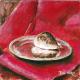 still life 1 shell acrylics on board