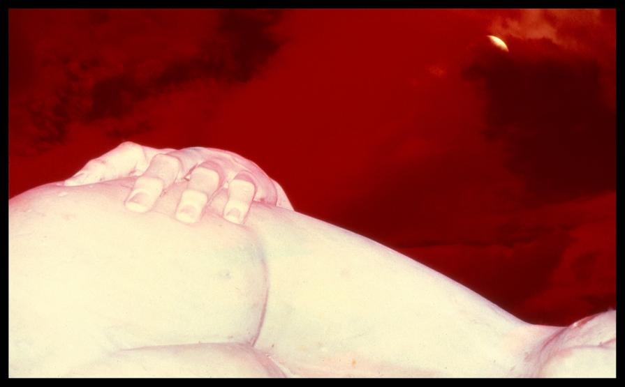 Colors 14 -- by Augusto De Luca