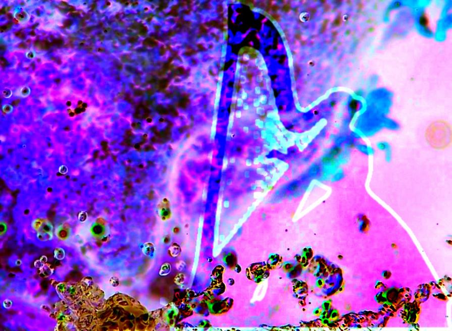 ...DIMMI SOLO CHE NON FINIRA'...!!! *** GRANDE MAX ***