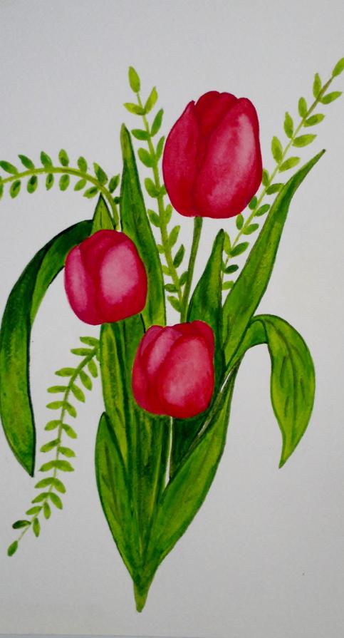 GOCCE? Semplicemente tulipani