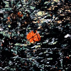 Imbrigliata nello spazio senza tempo 