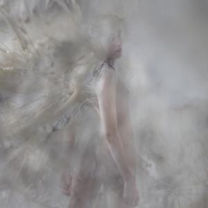 looks,110x130 looks,110x130